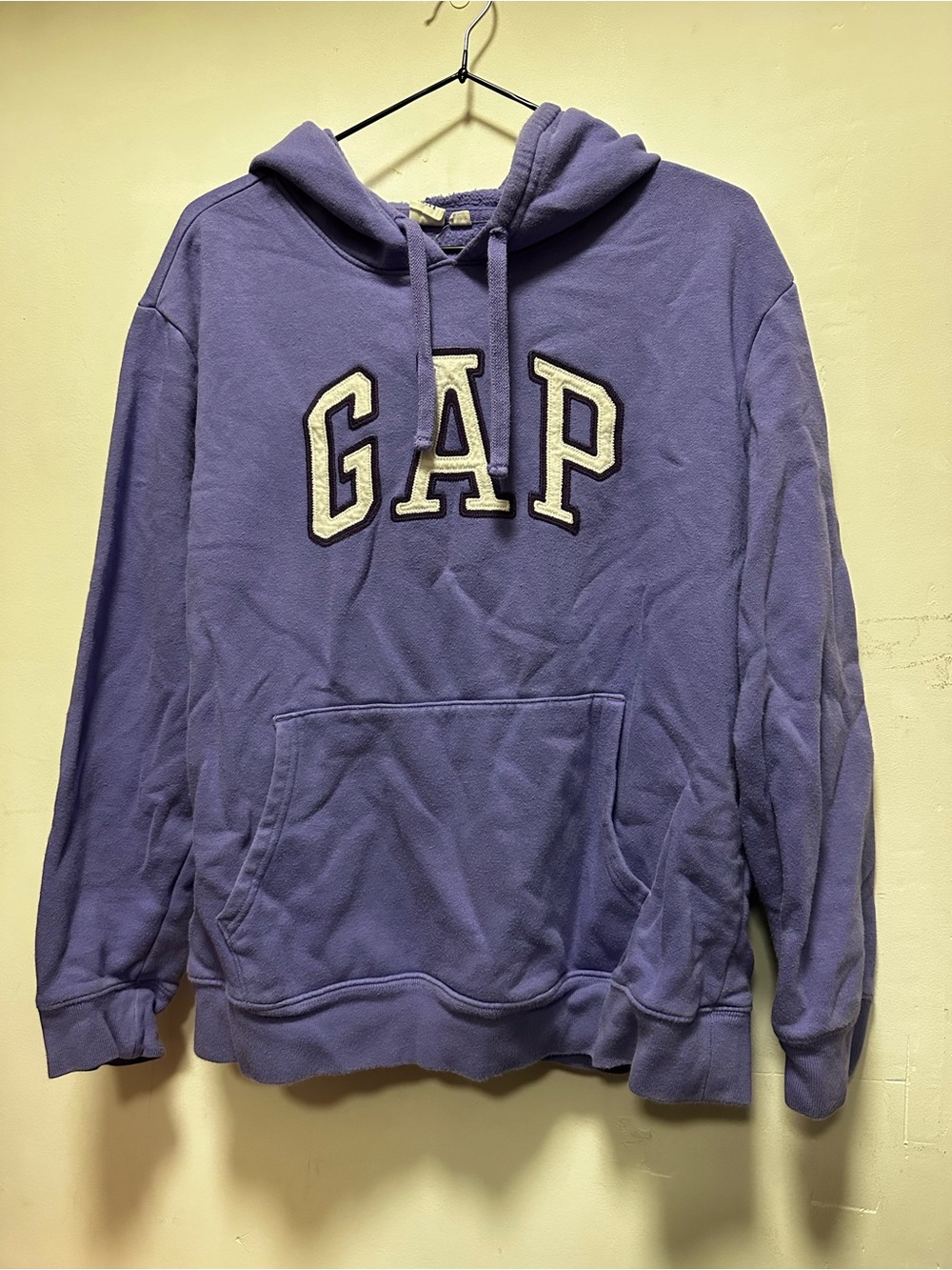 Gap Hoodie Sweater